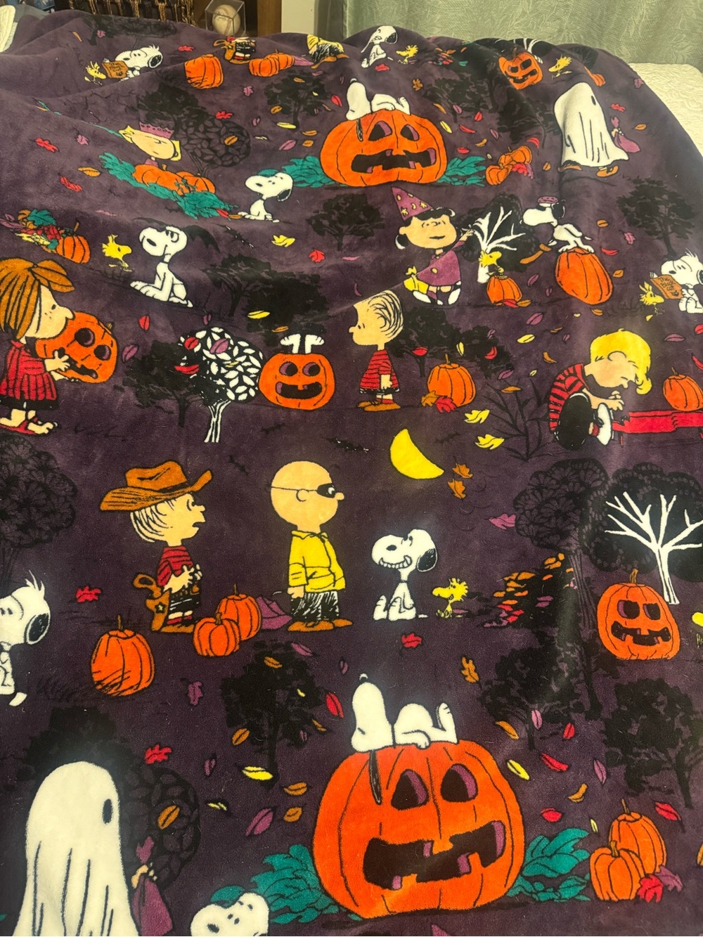Peanuts Halloween Vera Bradley Blanket